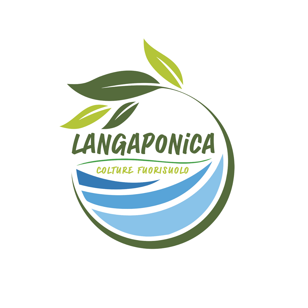 Langaponica